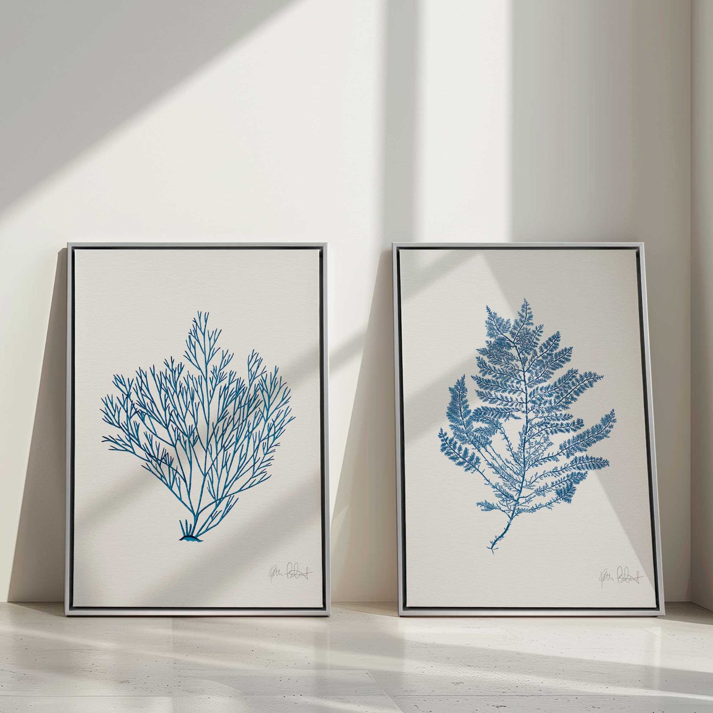 Blue Nature Studies Canvas Print, Set of 2