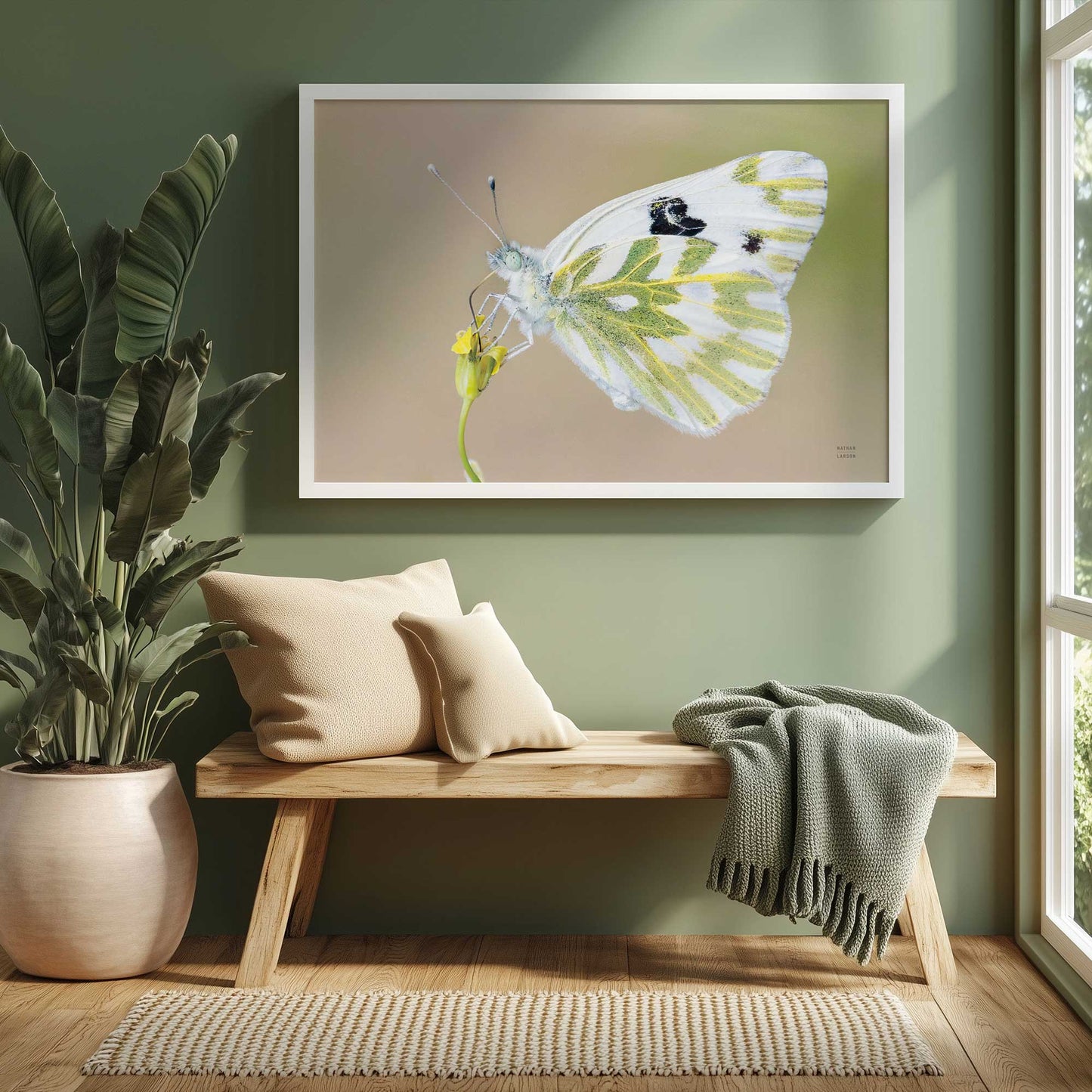 Picture of art in a room