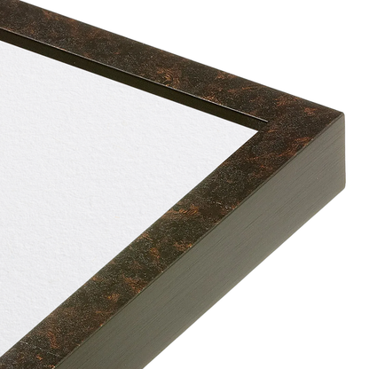 corner of the Rich Brown Vienna Wall Frame