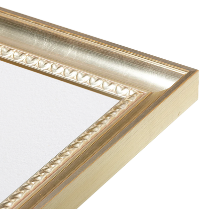 The Spotlight Stealer Silver Picture Frame