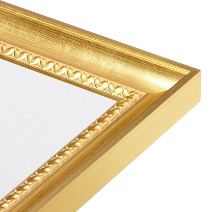 The Spotlight Stealer Gold Picture Frame