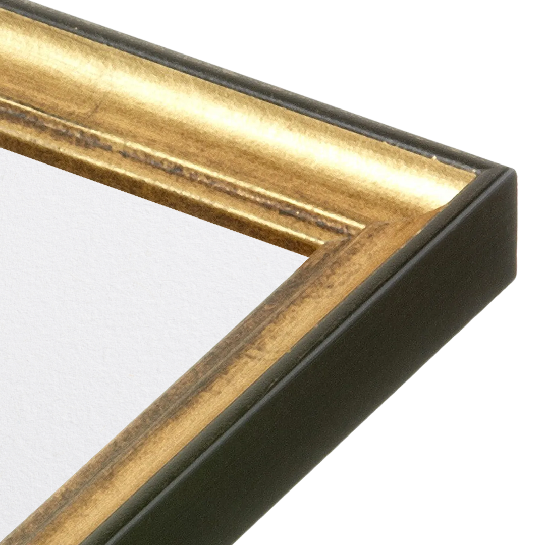 20" x 20" The Backbone Black and Gold Picture Frame - Narrow Mat