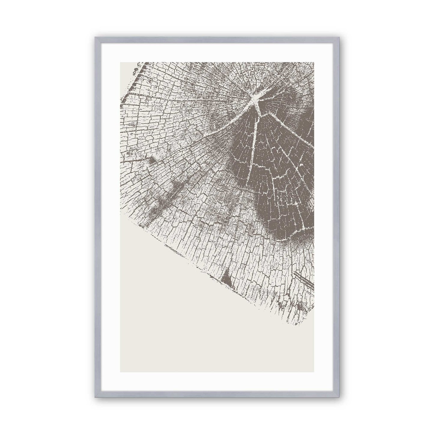 Modern Tree Rings Art Print, Set of 3