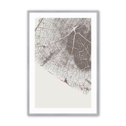 Modern Tree Rings Art Print, Set of 3