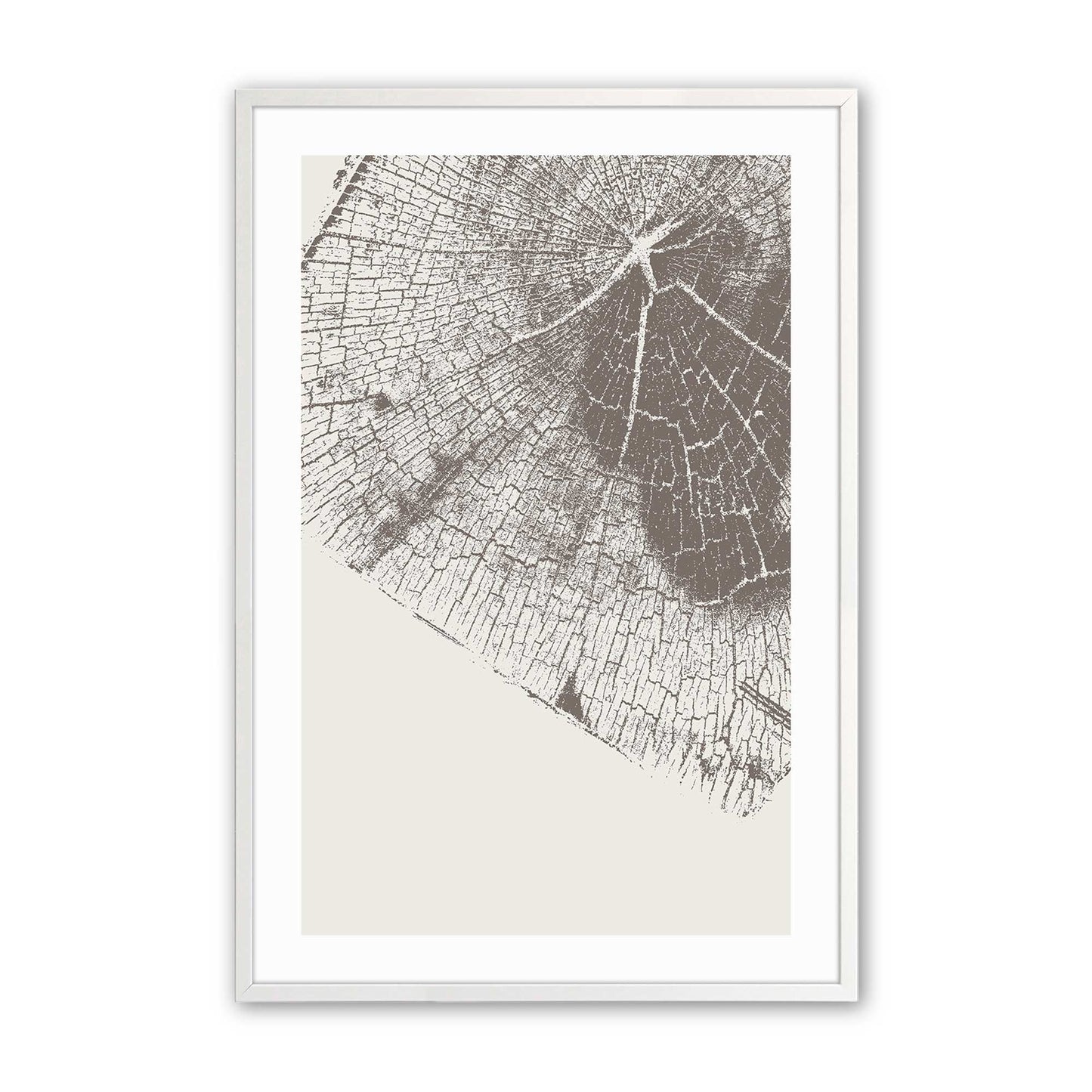 Modern Tree Rings Art Print, Set of 3