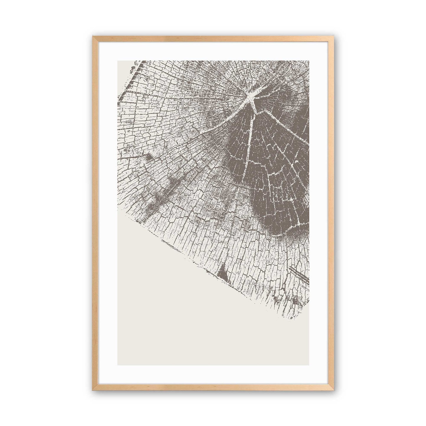 Modern Tree Rings Art Print, Set of 3