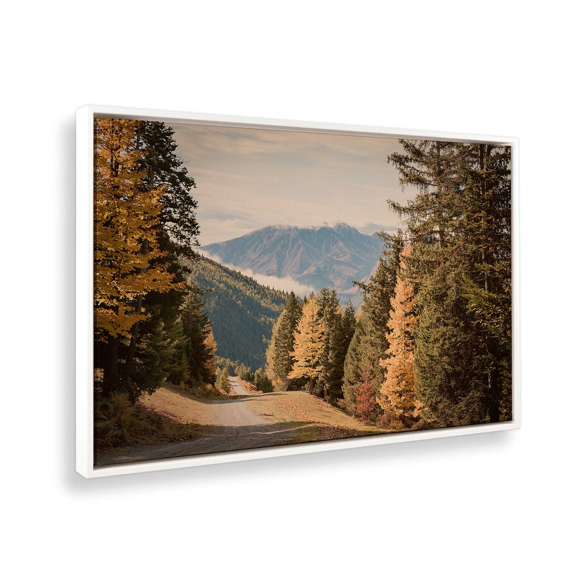 [Color:Opaque White], Picture of the corner of the art