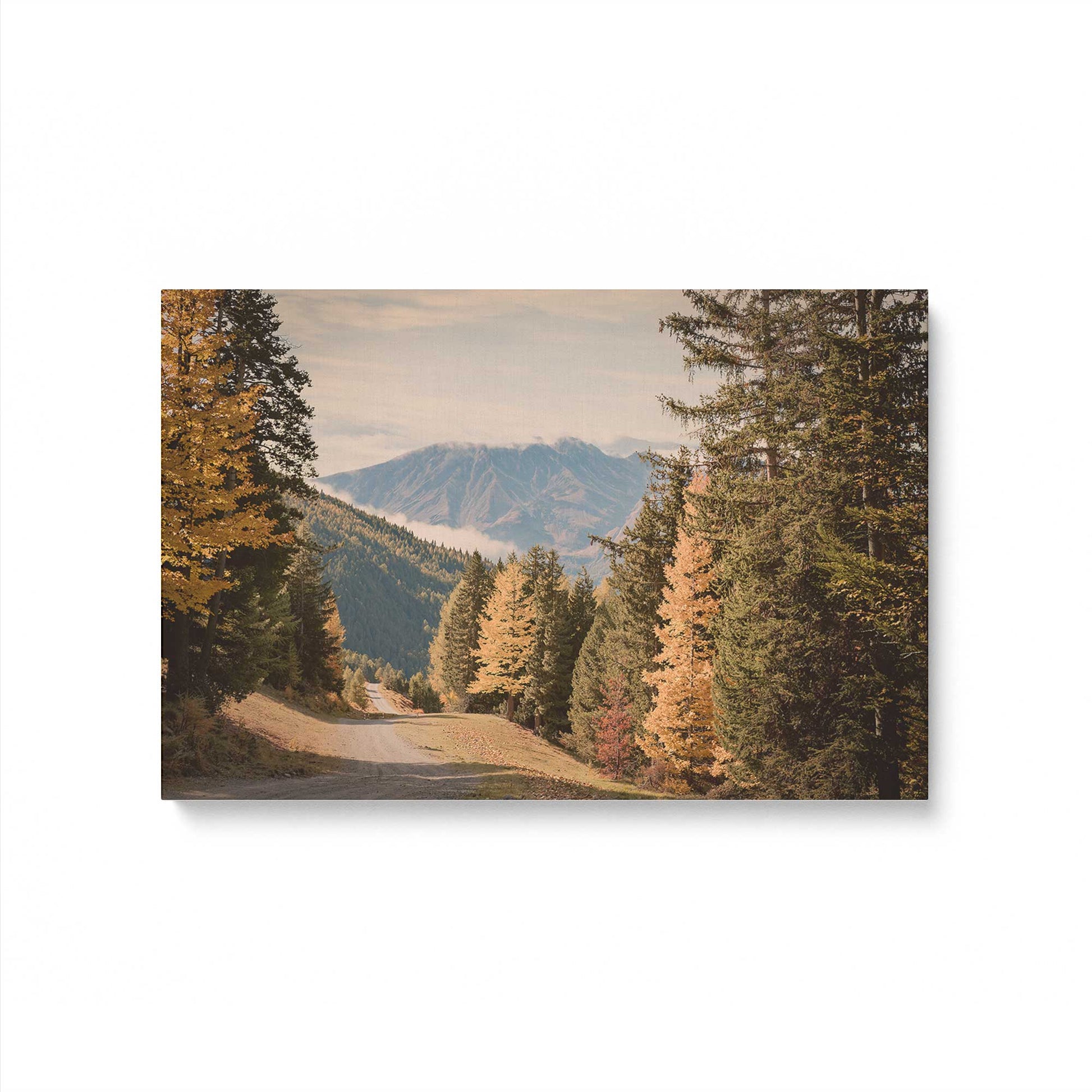 [Color:Stretched Canvas], Picture of art