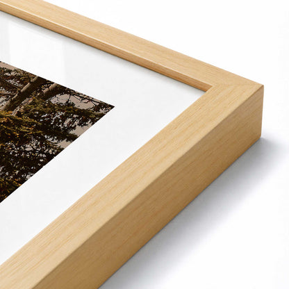 [Color:American Maple], Picture of art in a Polished Chrome frame at an angle