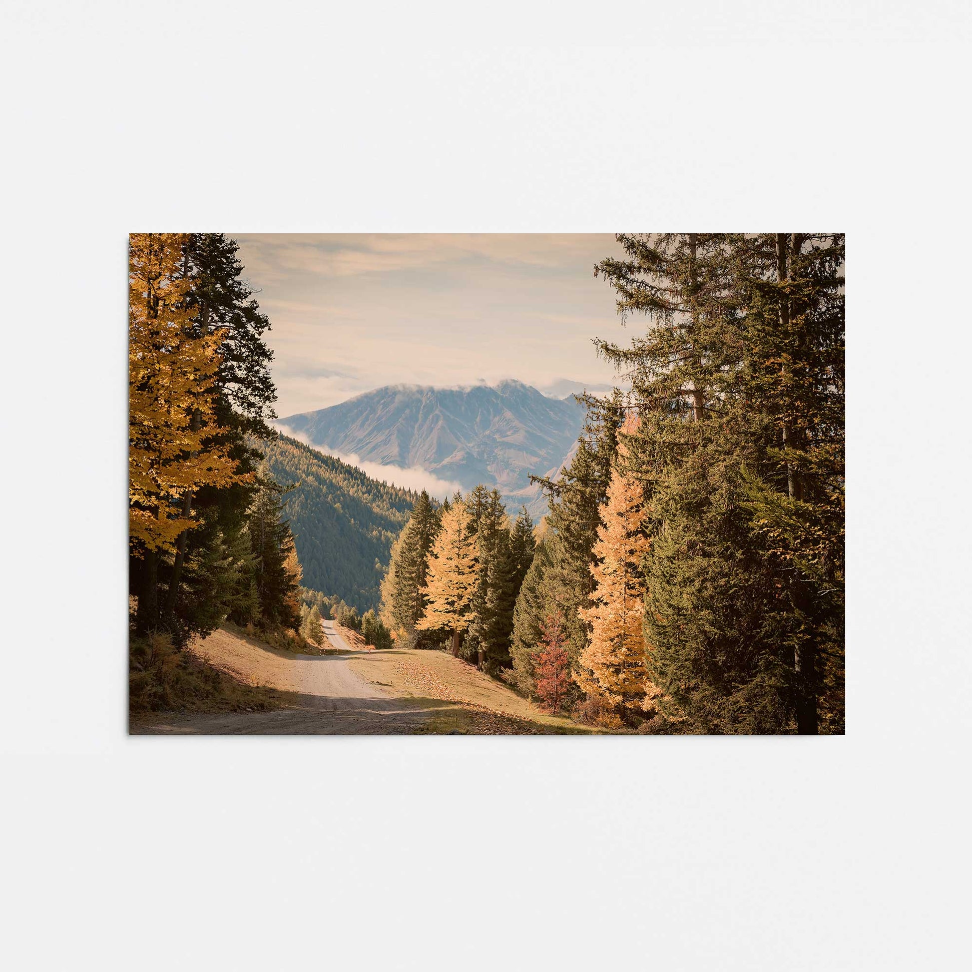 [Color:Rolled Print], Picture of close up of art
