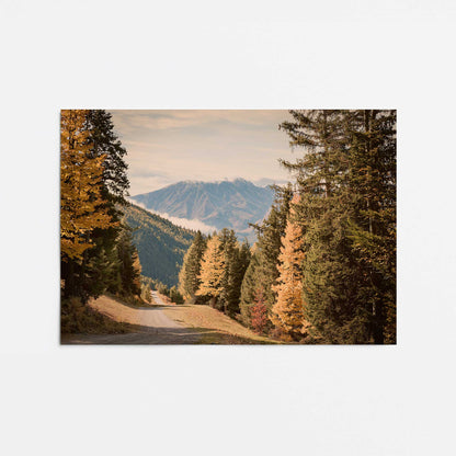 [Color:Rolled Print], Picture of close up of art