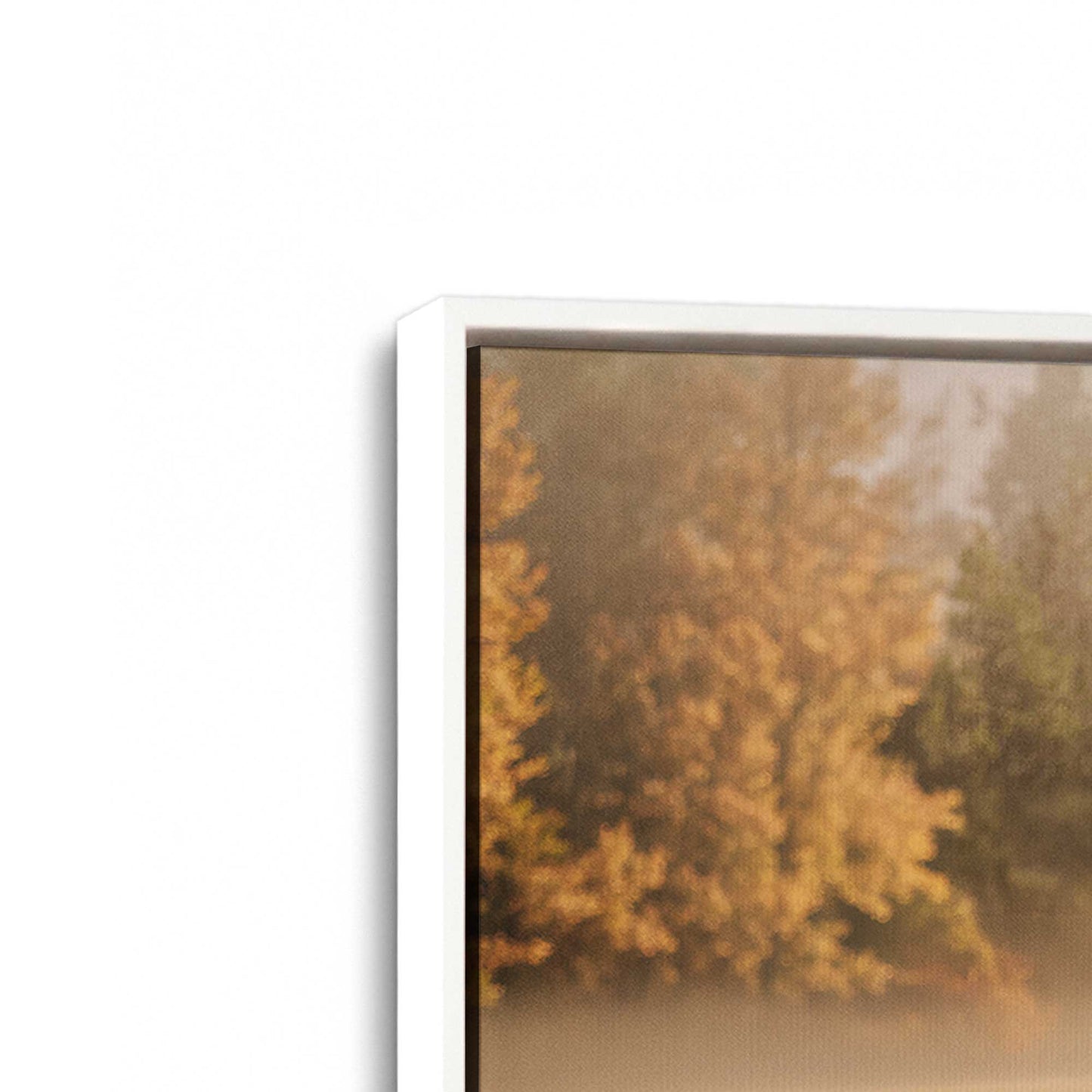 [Color:Opaque White], Picture of art in a White frame at an angle