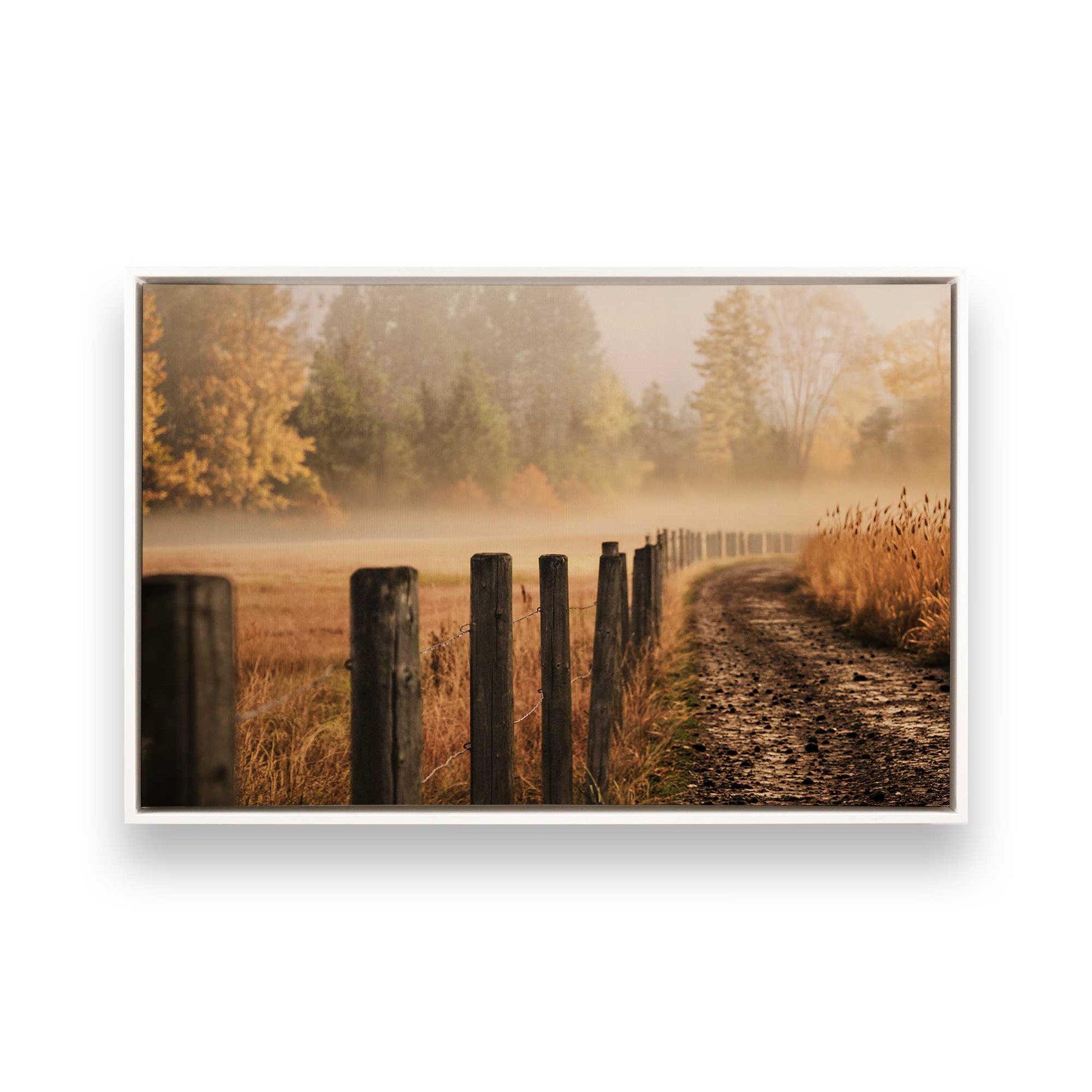 [Color:Opaque White], Picture of art in a White frame