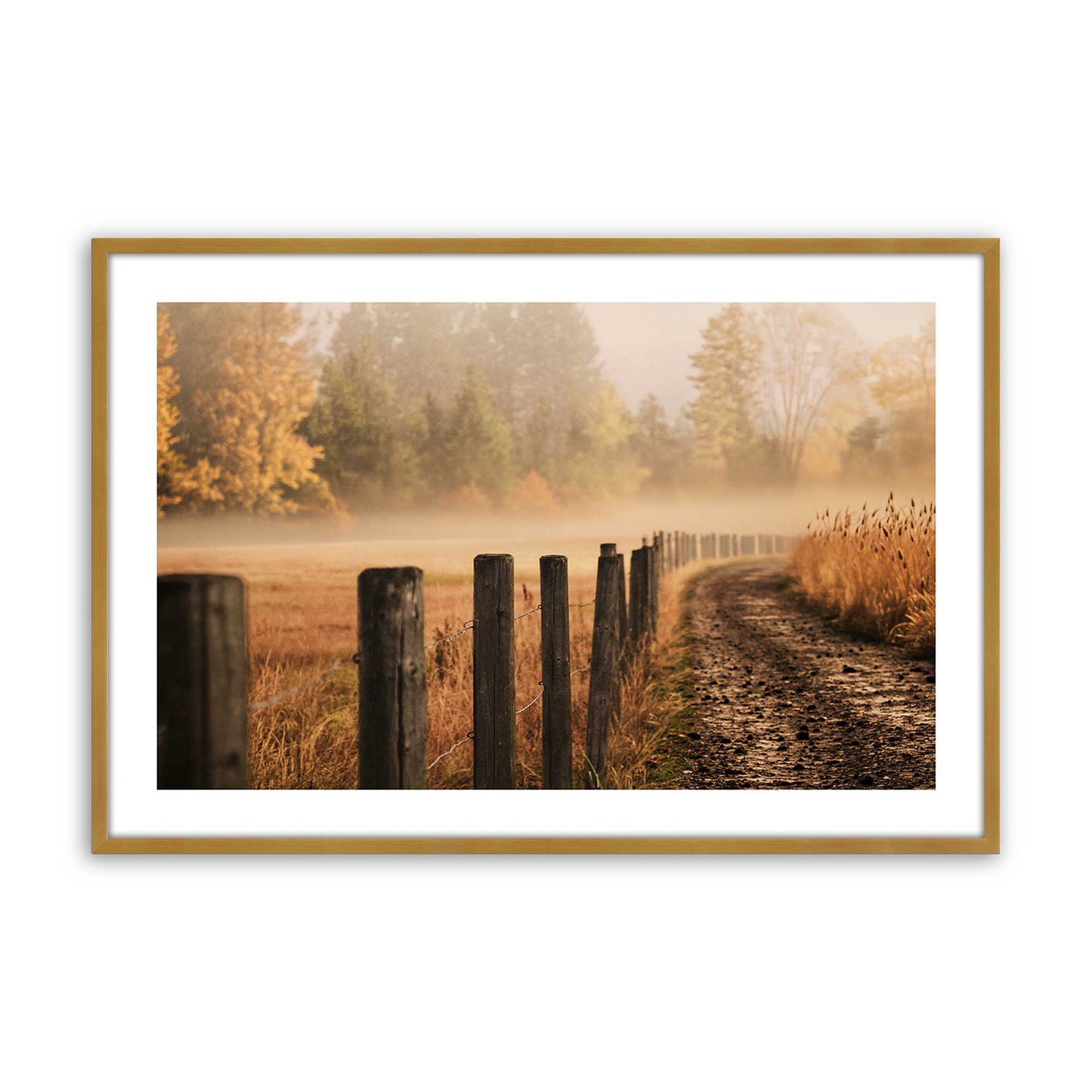 [Color:Polished Gold], Picture of art in a Polished Chrome frame