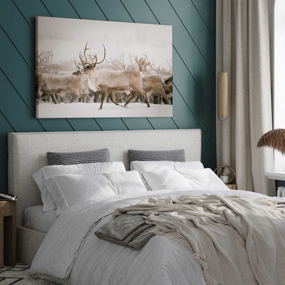 [LIFESTYLE],[SPECIAL],  Picture of art in a room