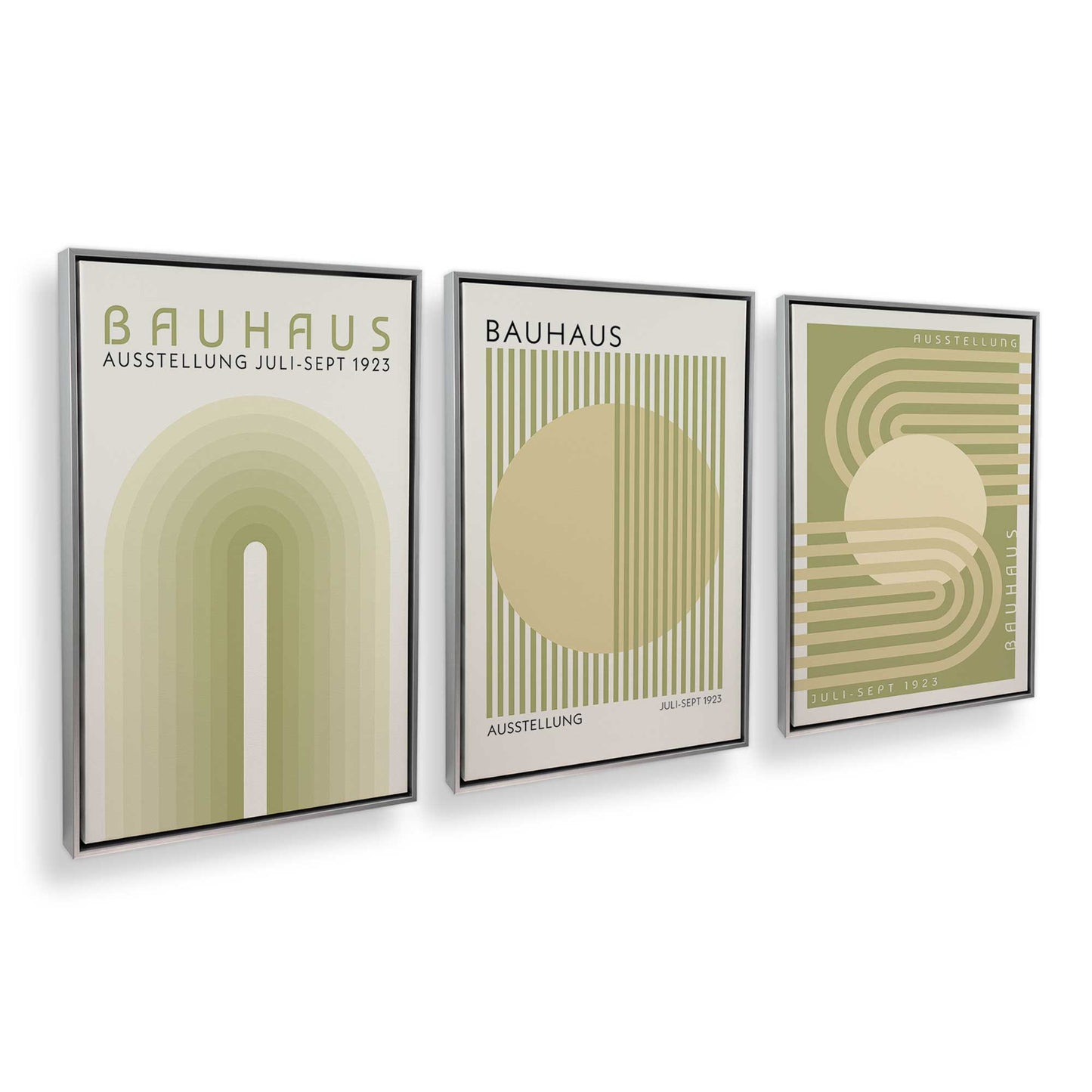 [Color:Polished Chrome], Picture of art in a Polished Chrome frame at an angle
