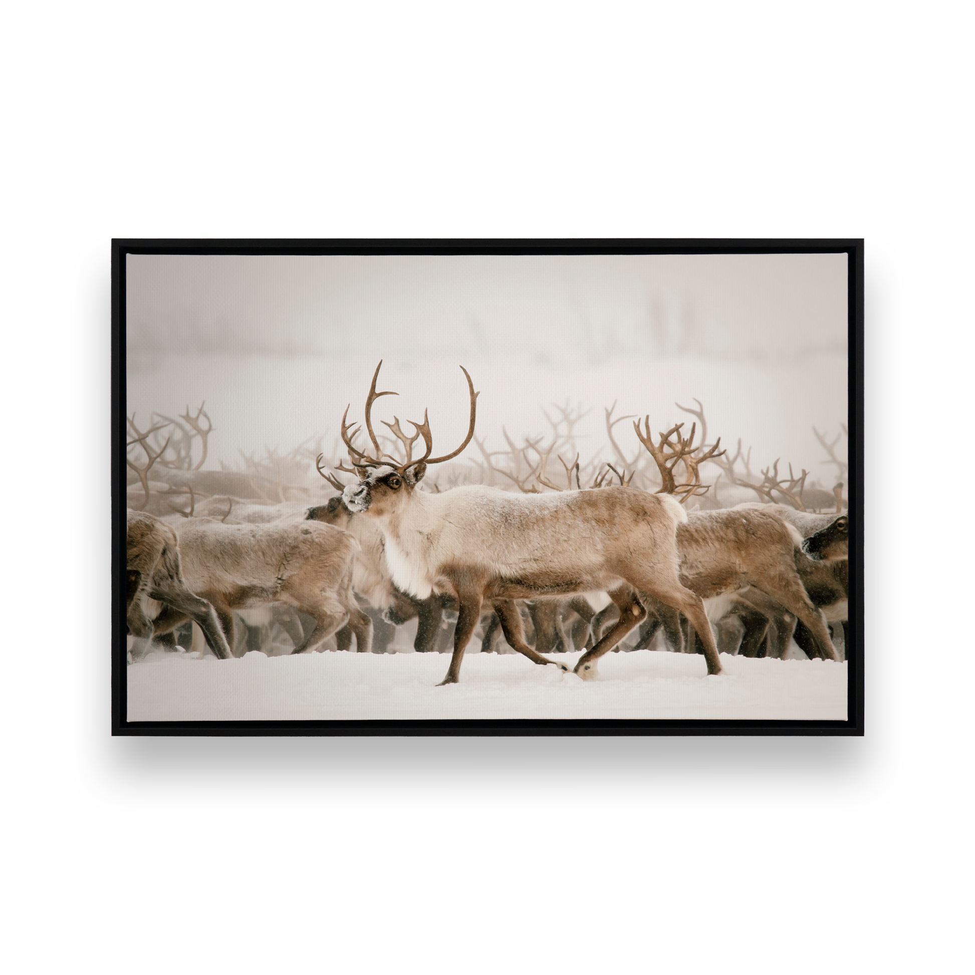 [Color:Satin Black], Front image of the art