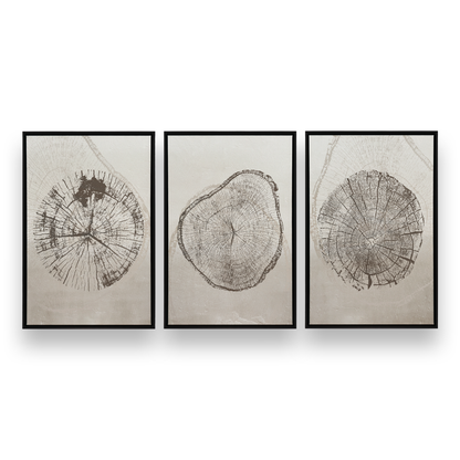 [LIFESTYLE],[SPECIAL],  Picture of art in a room
