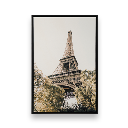 [Color:Satin Black], Front image of the art