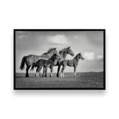 [Color:Satin Black], Front image of the art