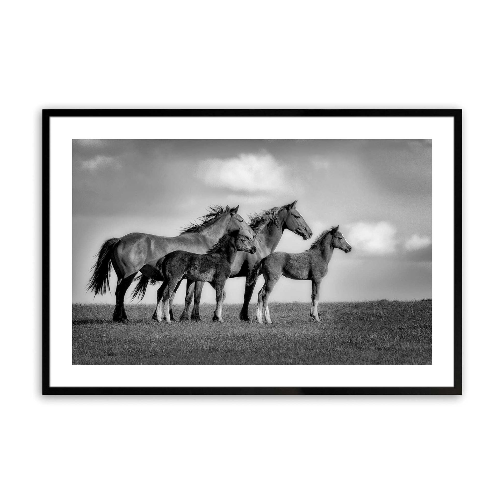 [Color:Satin Black],Front image of the art