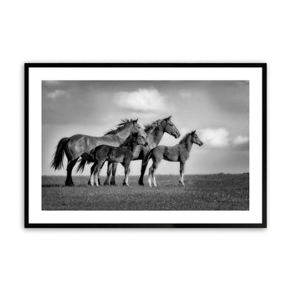 [Color:Satin Black],Front image of the art