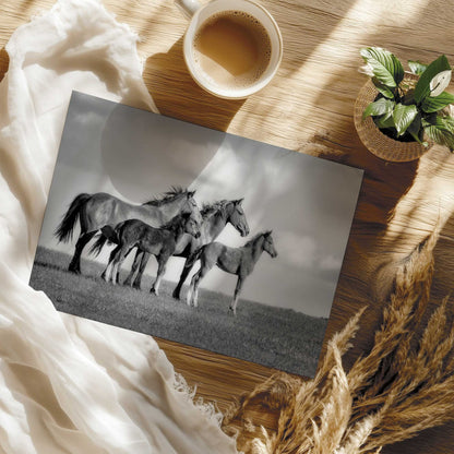 Family of Horses in Black and White Art Print