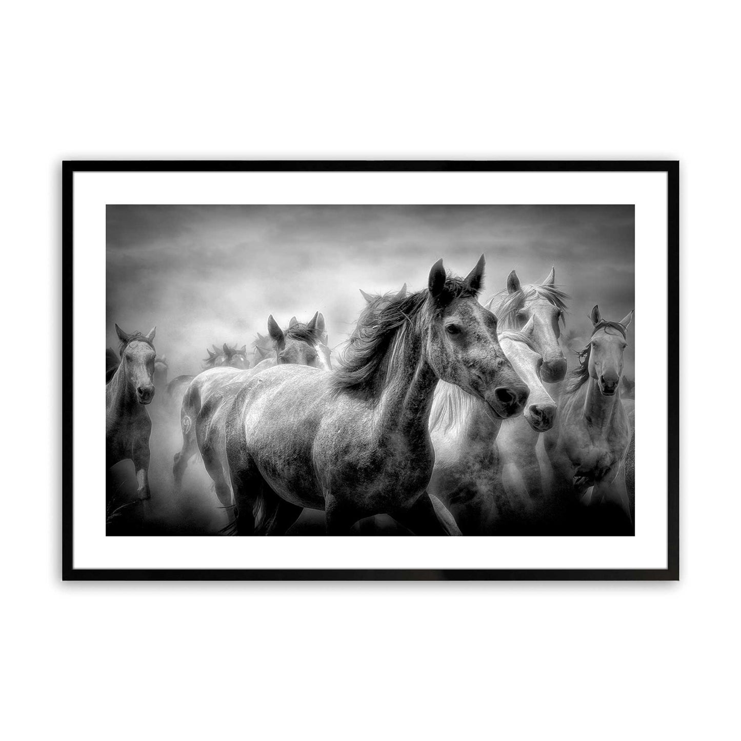 [Color:Satin Black],Front image of the art