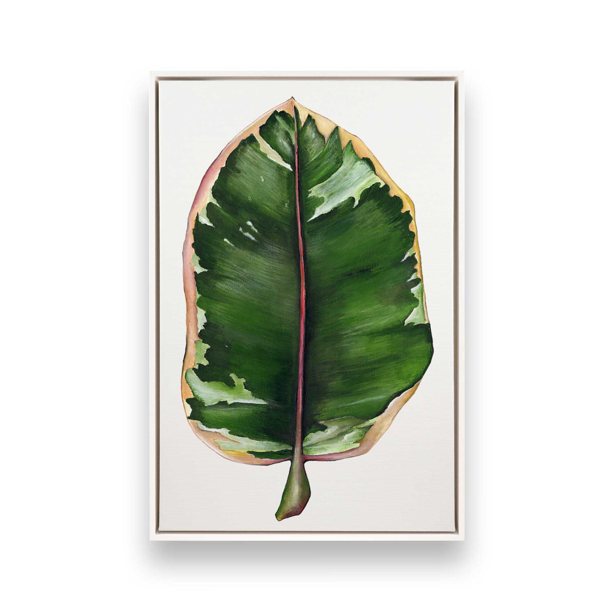 [Color:Opaque White], Picture of art in a White frame