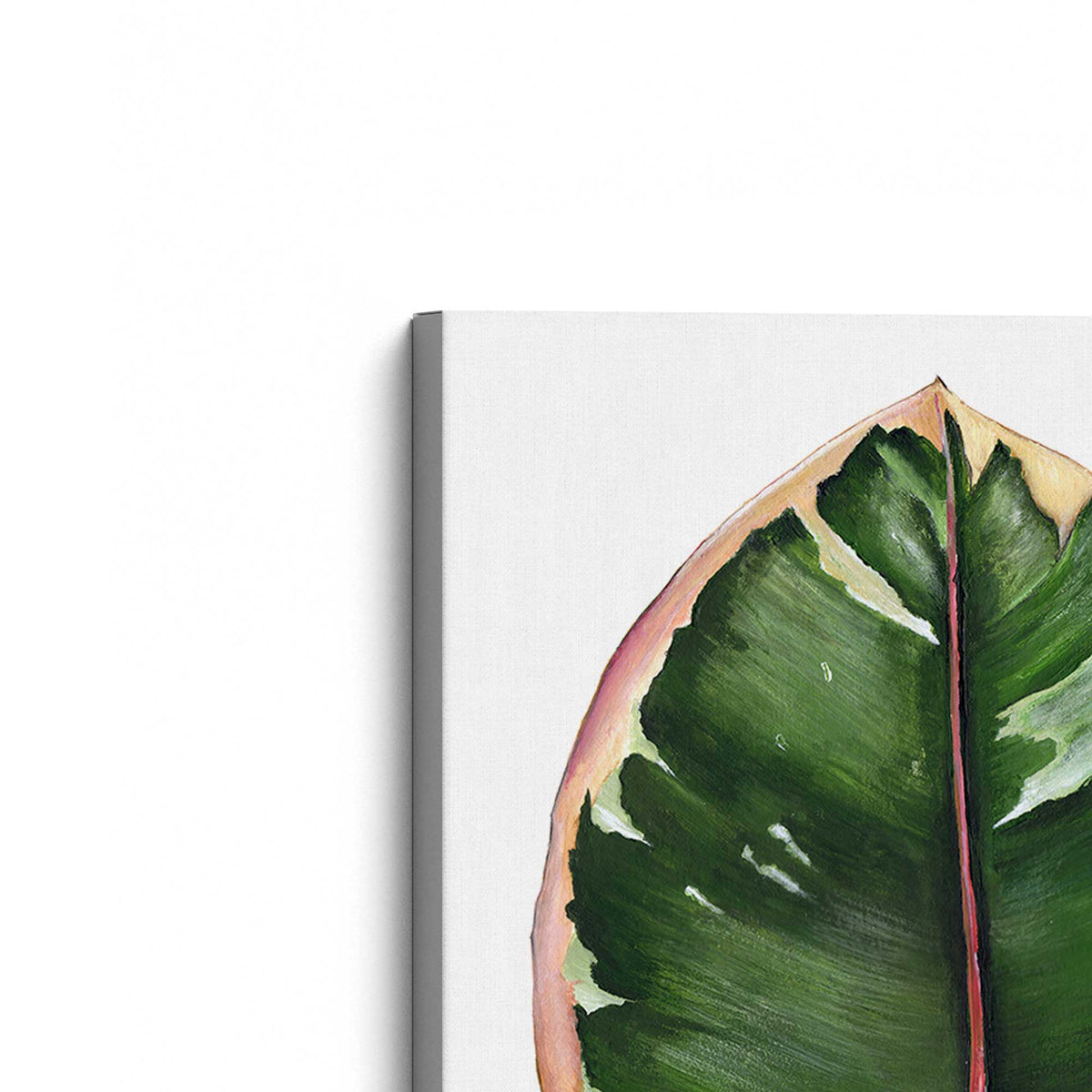 [Color:Stretched Canvas], Picture of the corner of the art