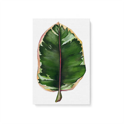 [Color:Stretched Canvas], Picture of art