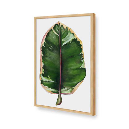[Color:American Maple], Picture of art in a American Maple frame of the corner
