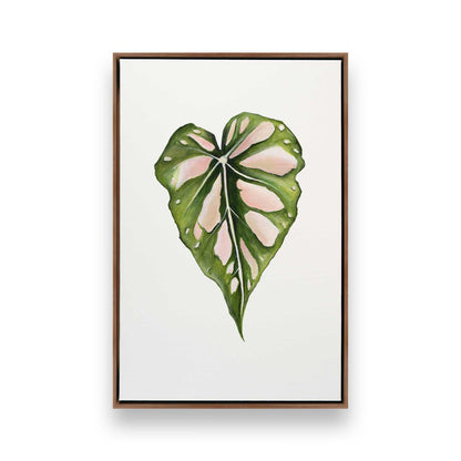 [Color:Walnut], Picture of art in a Walnut frame