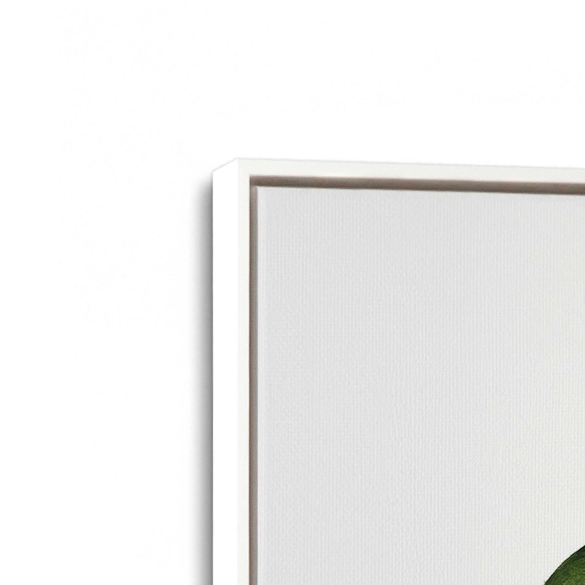 [Color:Opaque White], Picture of art in a White frame at an angle
