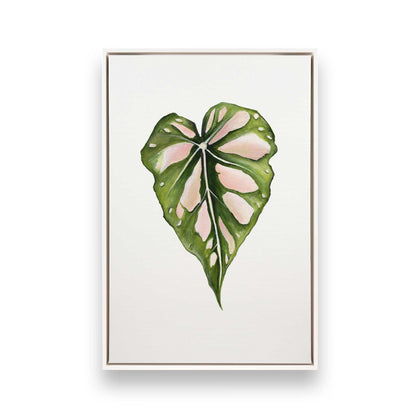 [Color:Opaque White], Picture of art in a White frame