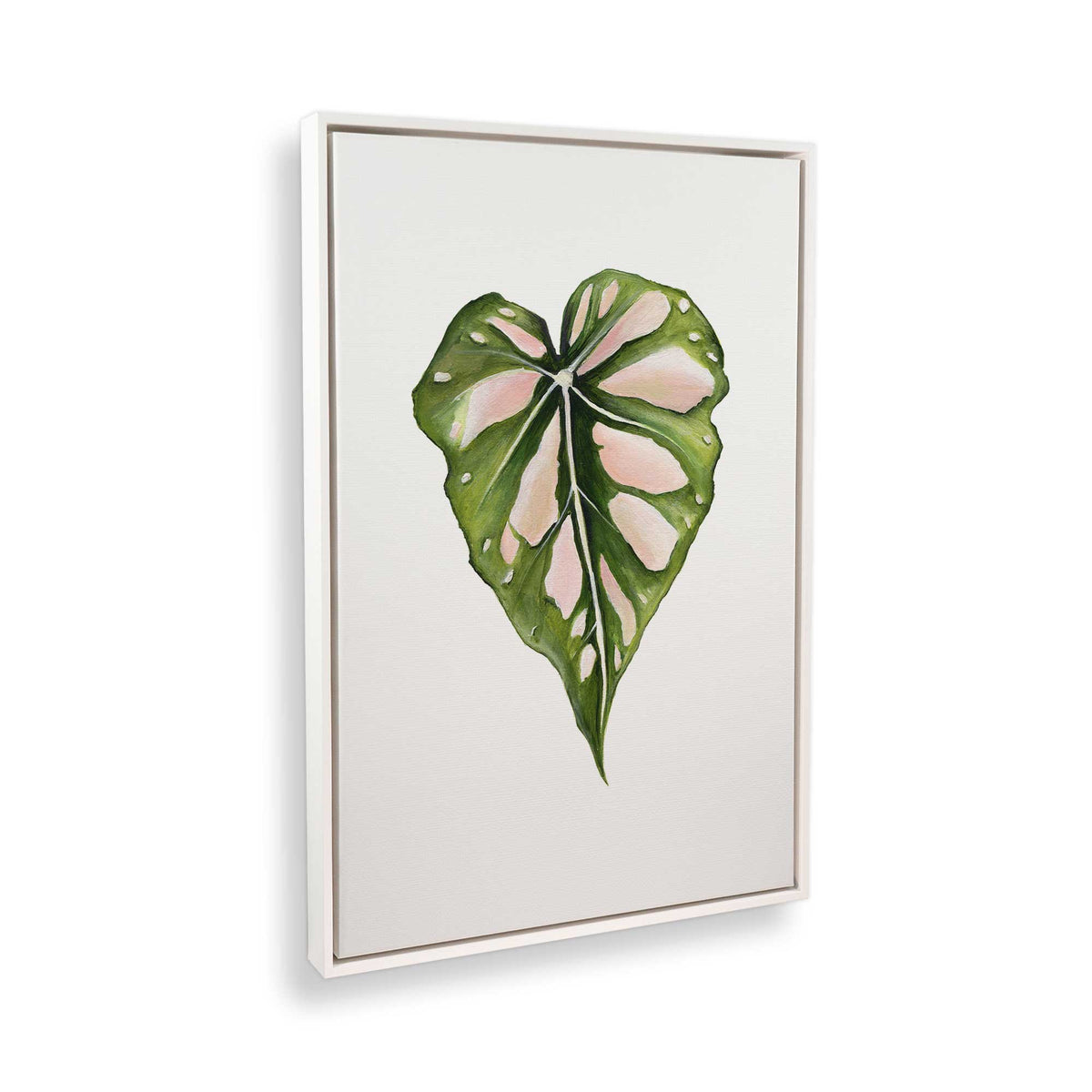 [Color:Opaque White], Picture of the corner of the art