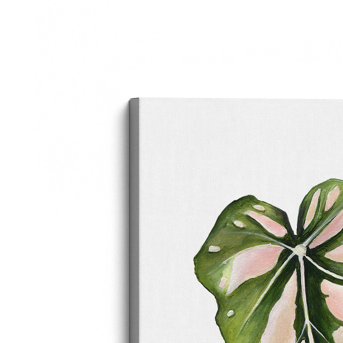 [Color:Stretched Canvas], Picture of the corner of the art