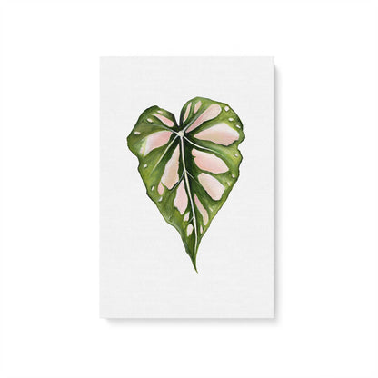 [Color:Stretched Canvas], Picture of art