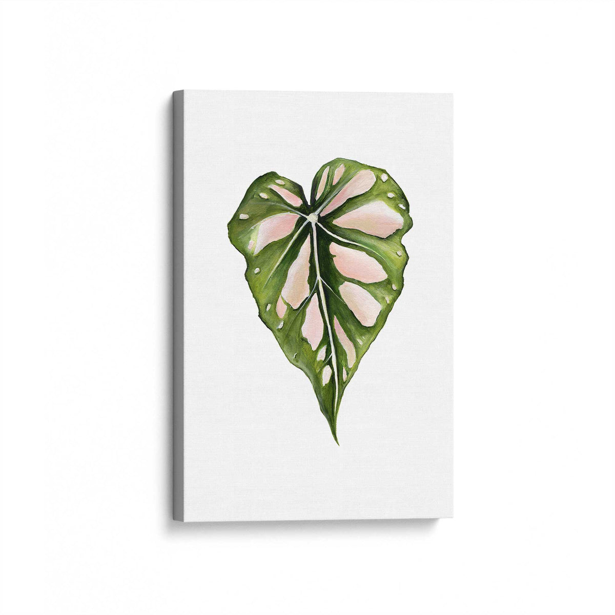 [Color:Stretched Canvas], Picture of art at an angle