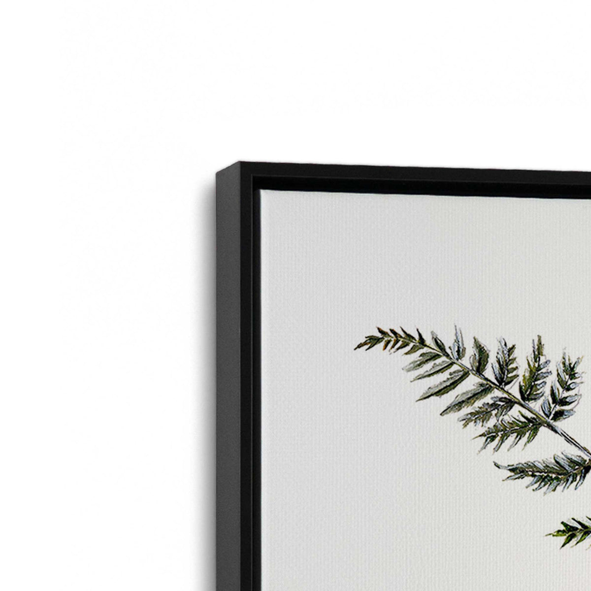 [Color:Satin Black], Picture of art in a Satin Black frame at an angle