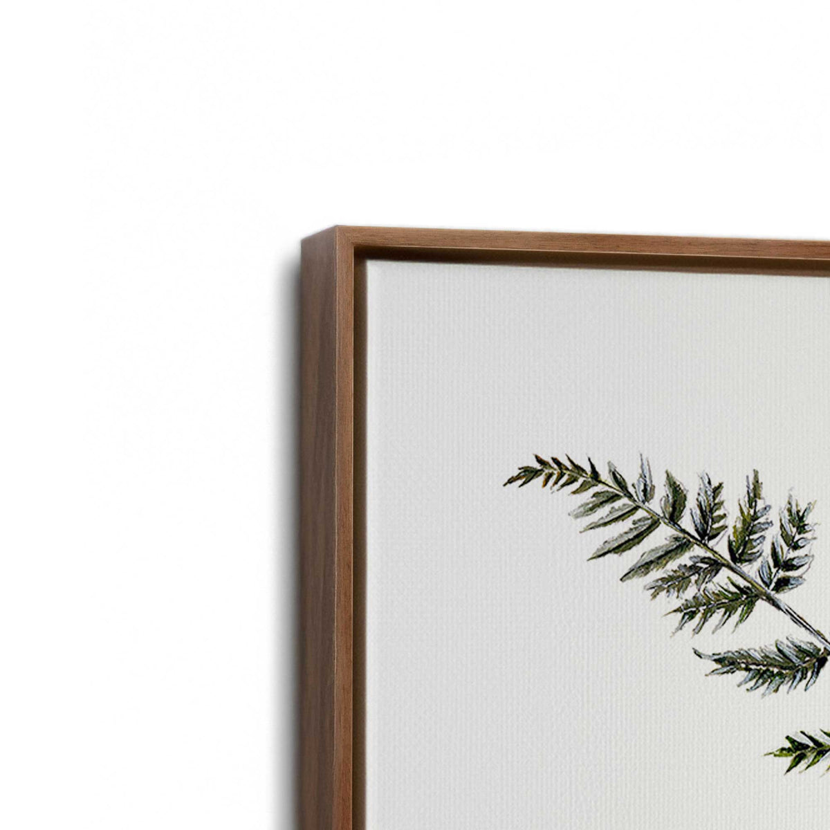 [Color:Walnut], Picture of art in a Walnut frame at an angle