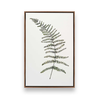 [Color:Walnut], Picture of art in a Walnut frame