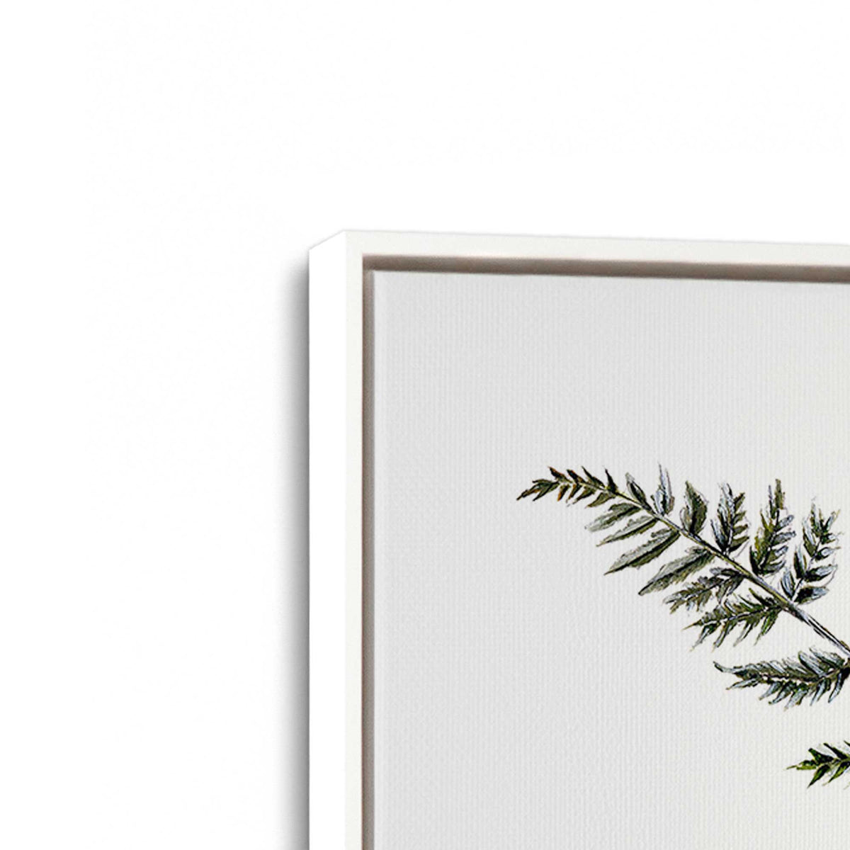 [Color:Opaque White], Picture of art in a White frame at an angle