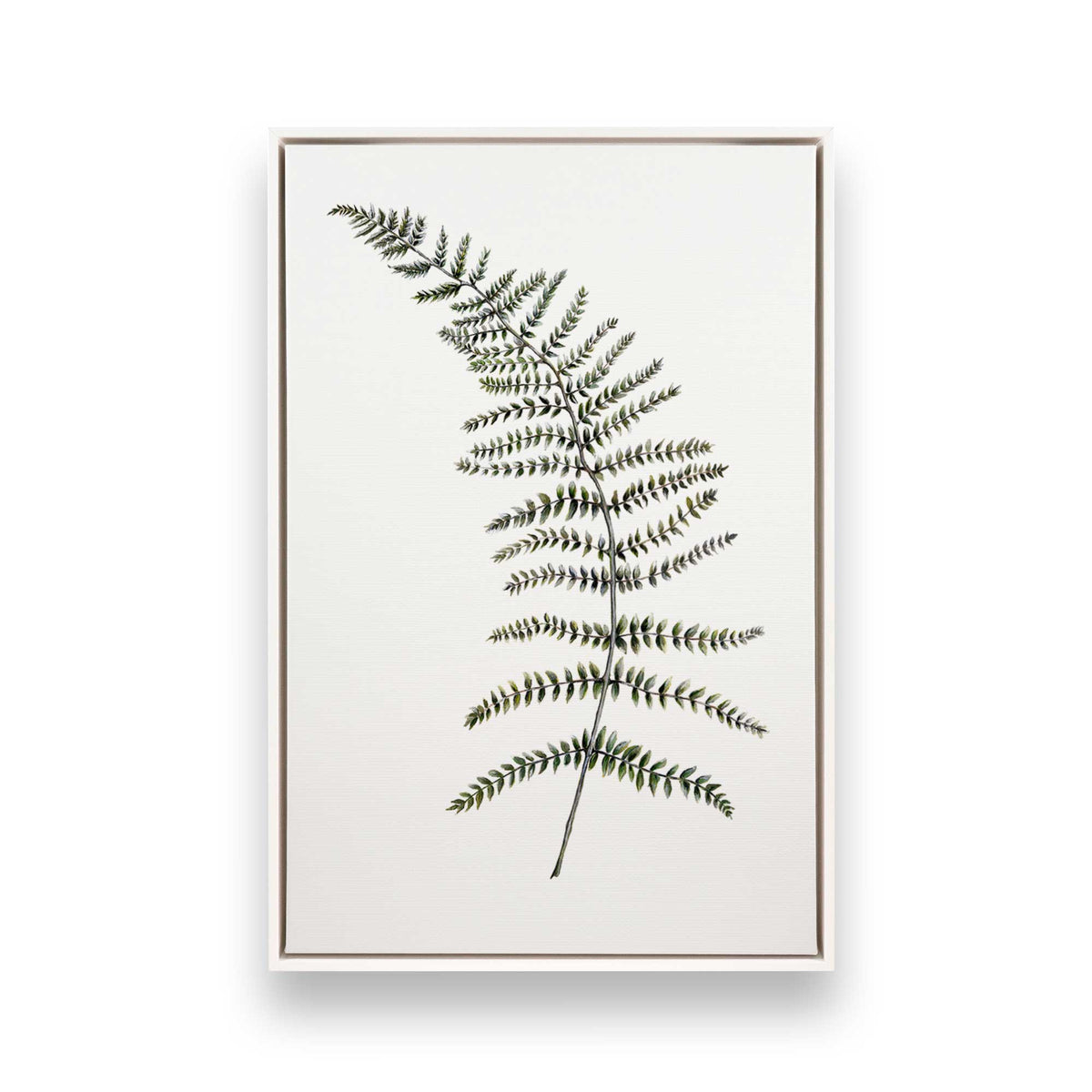 [Color:Opaque White], Picture of art in a White frame