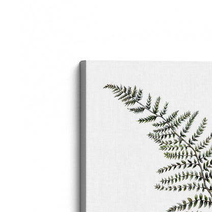 [Color:Stretched Canvas], Picture of the corner of the art