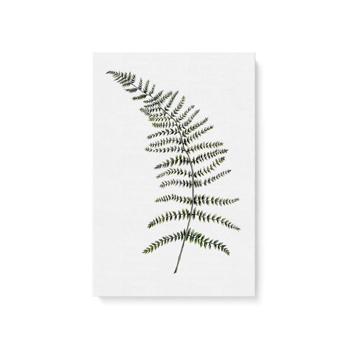 [Color:Stretched Canvas], Picture of art