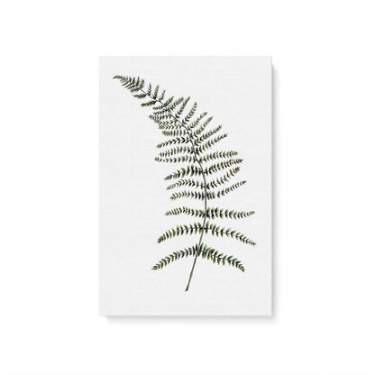 [Color:Stretched Canvas], Picture of art