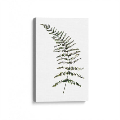 [Color:Stretched Canvas], Picture of art at an angle