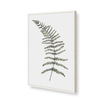 [Color:Opaque White], Picture of art in a Opaque White frame of the corner