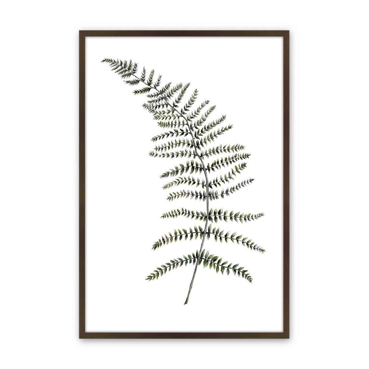 [Color:Brown], Picture of art in a Brown frame